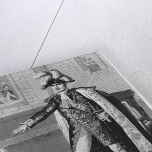 The 'Champ de Mai' or Emperor Napoleon I swearing fidelity to the Constitutions on 1st June 1815 by French School