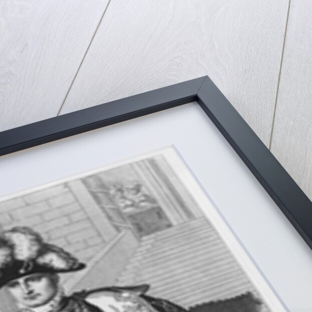 The 'Champ de Mai' or Emperor Napoleon I swearing fidelity to the Constitutions on 1st June 1815 by French School