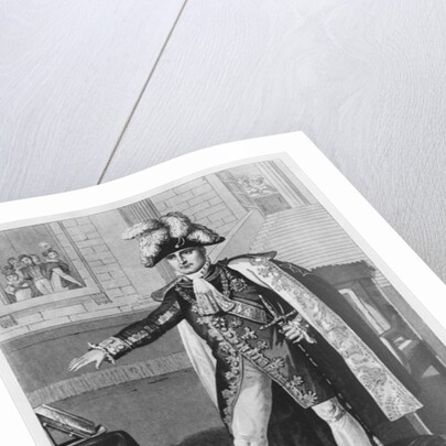 The 'Champ de Mai' or Emperor Napoleon I swearing fidelity to the Constitutions on 1st June 1815 by French School