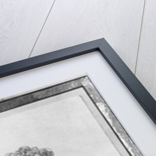 Caroline Bonaparte, Queen of Naples by Jacques Louis David