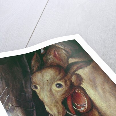 Paumgartner Altarpiece: detail of the Left Hand Wing, depicting the head of the dragon defeated by St. George, c.1500 by Albrecht Dürer or Duerer