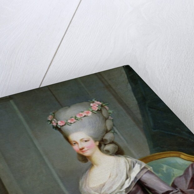 Marie-Therese de Savoie-Carignan Princess of Lamballe by Antoine Francois Callet