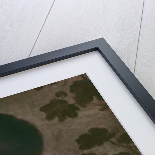 Detail of Children Eating a Pie, 1670-75 by Bartolome Esteban Murillo