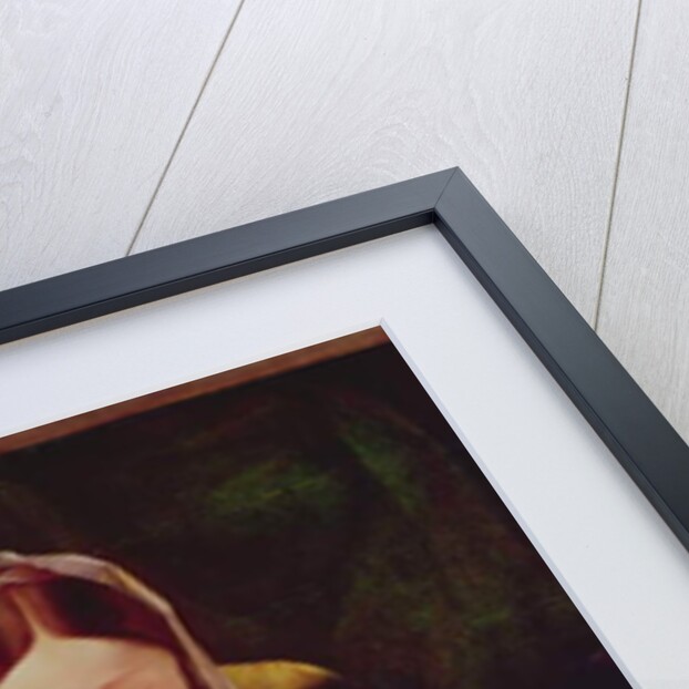 Detail of The Mystic Marriage of Saint Catherine by Lorenzo Lotto