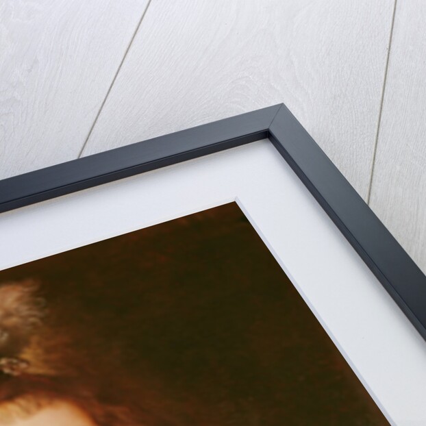 Portrait of Helene Fourment with gloves, c.1632 by Peter Paul Rubens