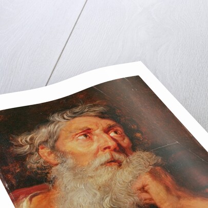 Head of an Apostle by Anthony van Dyck