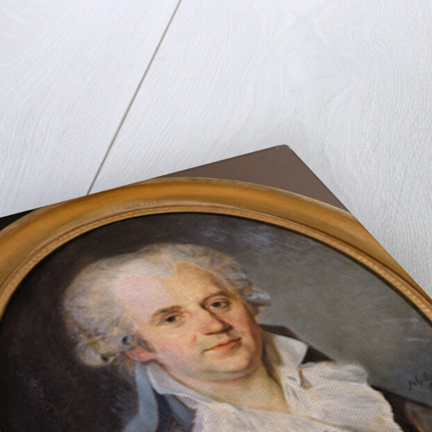 Georges-Jacques Danton, 1793 by L. L. Schilly