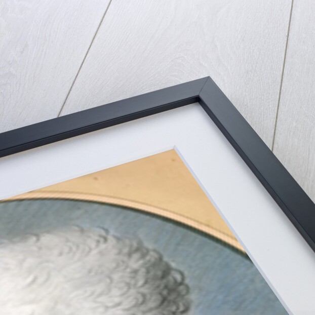 Maximilien de Robespierre by Joseph Boze