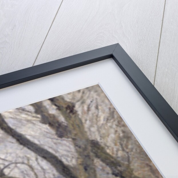 The Banks of the Oise, near Pontoise, Cloudy Weather, 1878 by Camille Pissarro