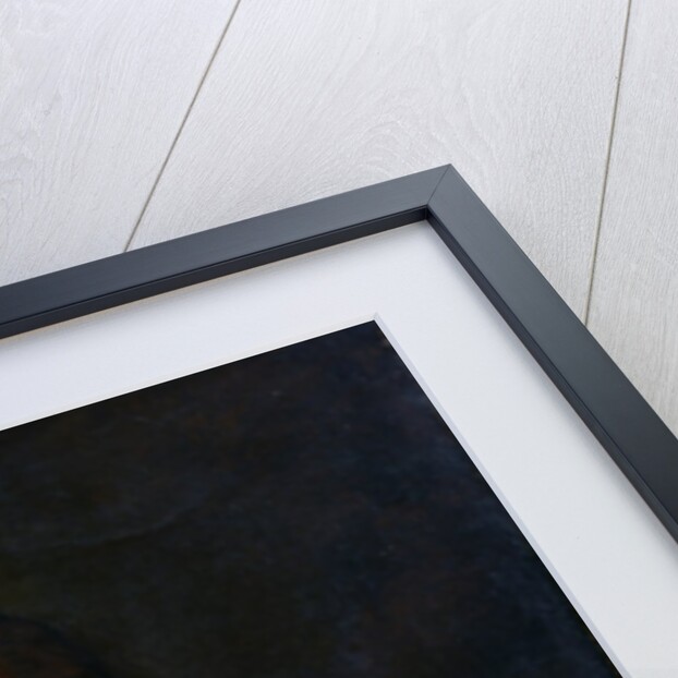 Camille Desmoulins his wife Lucile and their son Horace-Camille c.1792 by Jacques Louis David