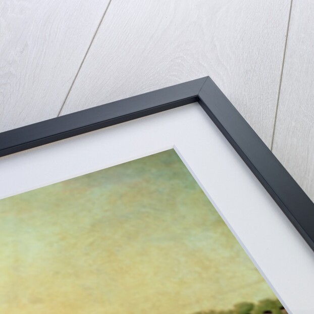 The Execution of Marie-Antoinette 16th Oct 1793 by Danish School