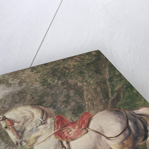 A White Horse by Philips Wouwermans or Wouwerman