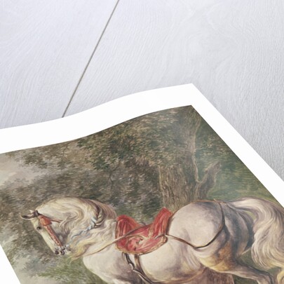 A White Horse by Philips Wouwermans or Wouwerman