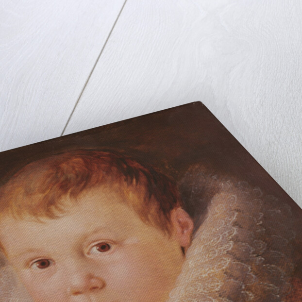 Portrait of a child by Flemish School