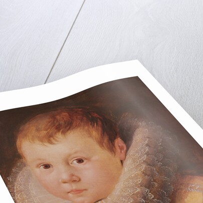 Portrait of a child by Flemish School