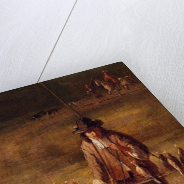 A falconer by Jan Wynants