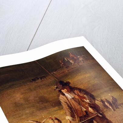 A falconer by Jan Wynants