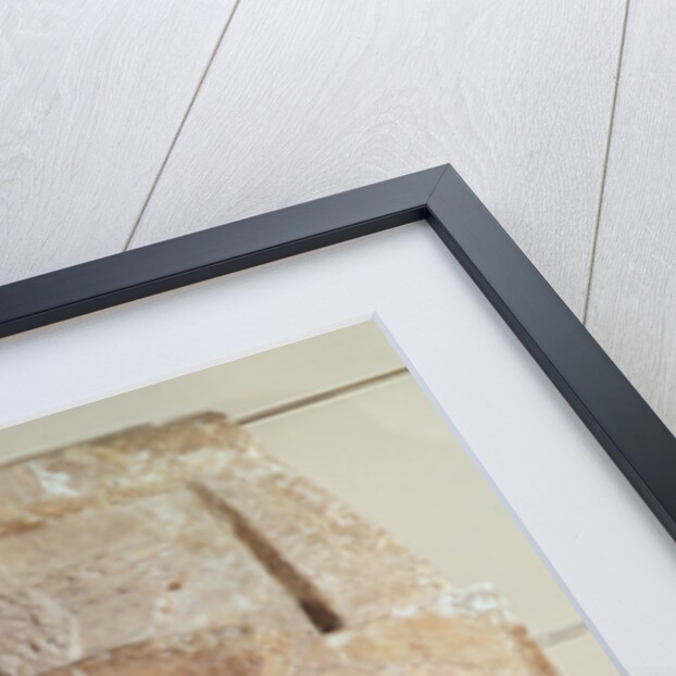 Aldona by Emile-Antoine Bourdelle