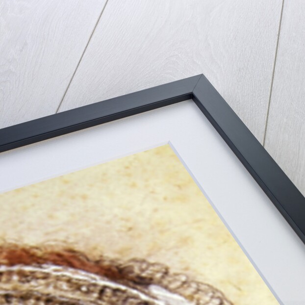 Portrait of Marshal Davout, Prince d'Echmuhl by Benedict Masson