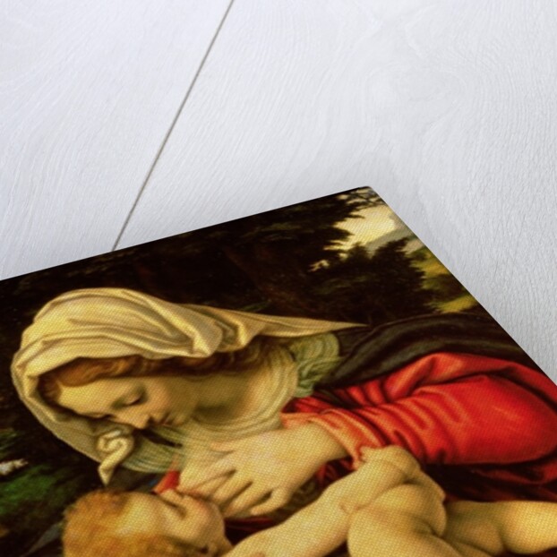 The Virgin of the Green Cushion, 1507-10 by Andrea Solario