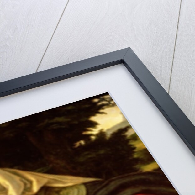 The Virgin of the Green Cushion, 1507-10 by Andrea Solario