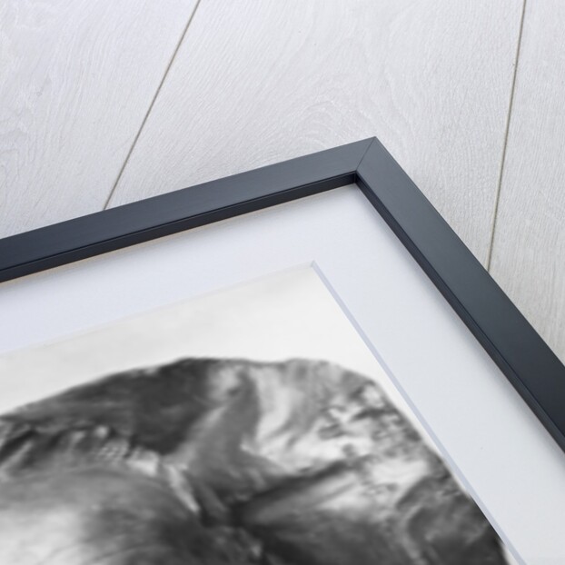 Death mask of Victor Hugo, 1885 by Aime Jules Dalou