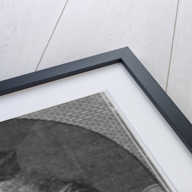 Portrait of Voltaire at Ferney, engraved by Joseph Friedrich Rein by French School