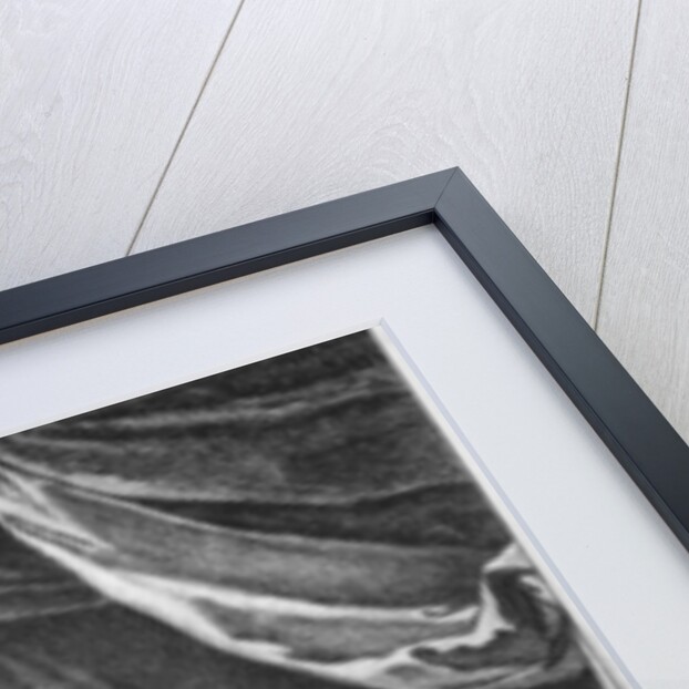 Formosante and Amazan by Charles Monnet