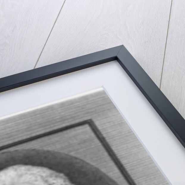 Charles Augustin de Ferriol, Comte d'Argental by Jean Florent (after) Defraine