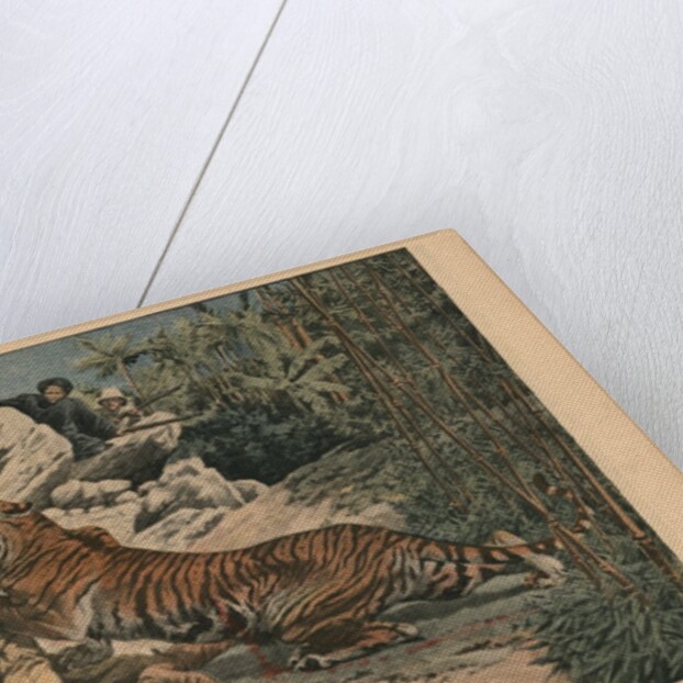 Marquis of Barthelemy wounded by a tiger by French School