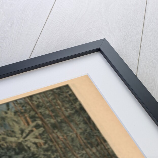 Marquis of Barthelemy wounded by a tiger by French School