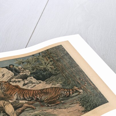 Marquis of Barthelemy wounded by a tiger by French School