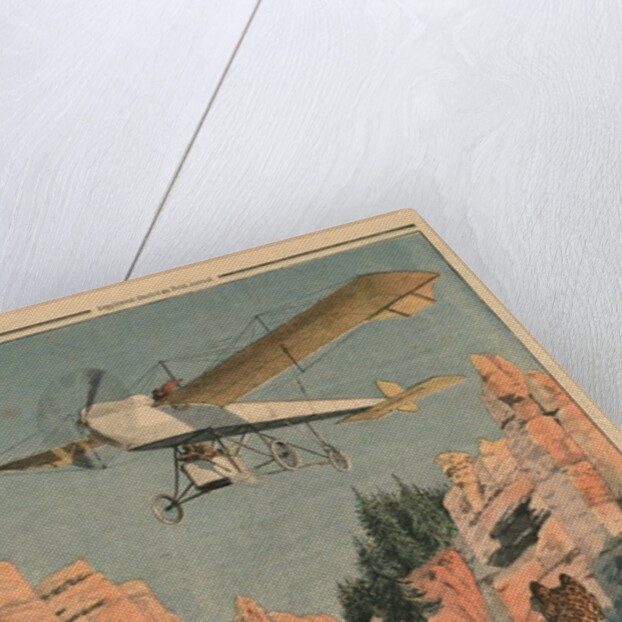 Hunting panthers from an airplane in Texas by French School