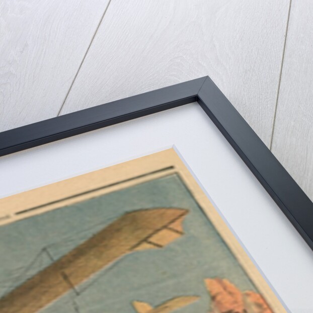 Hunting panthers from an airplane in Texas by French School