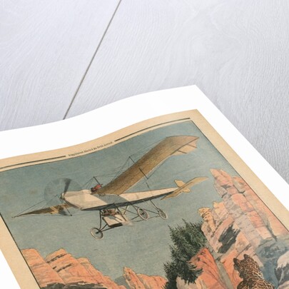 Hunting panthers from an airplane in Texas by French School