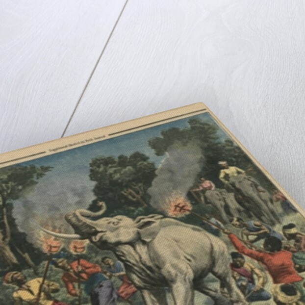 Catching a white elephant in Siam by French School