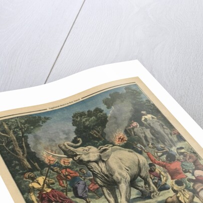 Catching a white elephant in Siam by French School