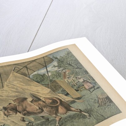 The cow and the airplane by French School