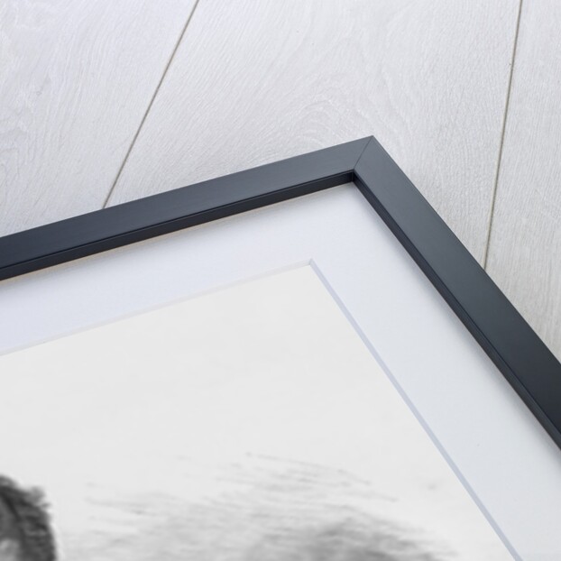 Honore d'Albert, Duke of Luynes by French School