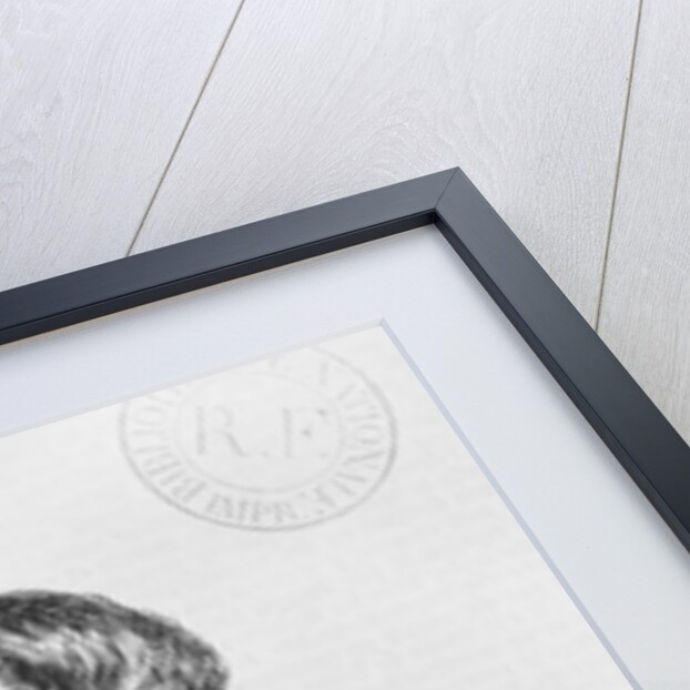 Daniel d'Arthez at the Bibliotheque Sainte-Genevieve by French School