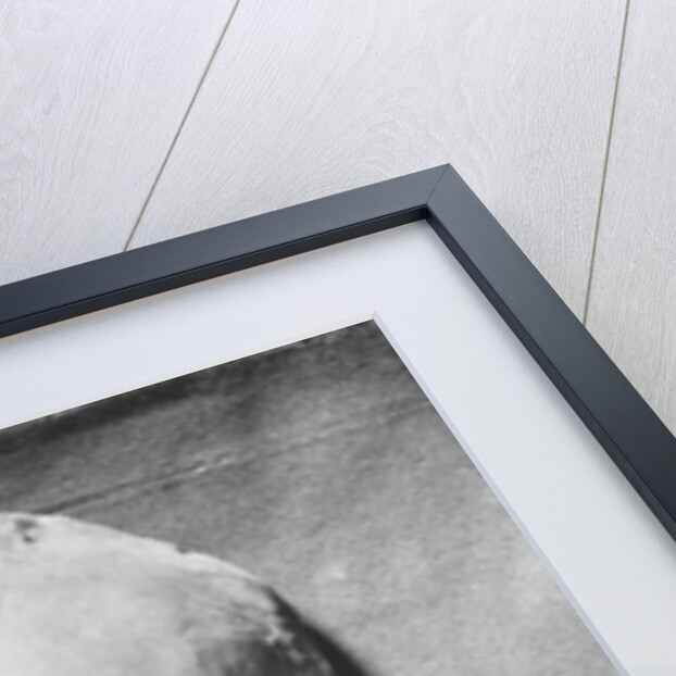Death mask of Henry IV of France, 1793 by French School