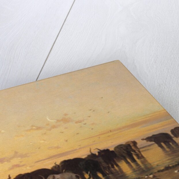 African Elephants, 1867 by Charles Emile de Tournemine