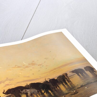 African Elephants, 1867 by Charles Emile de Tournemine