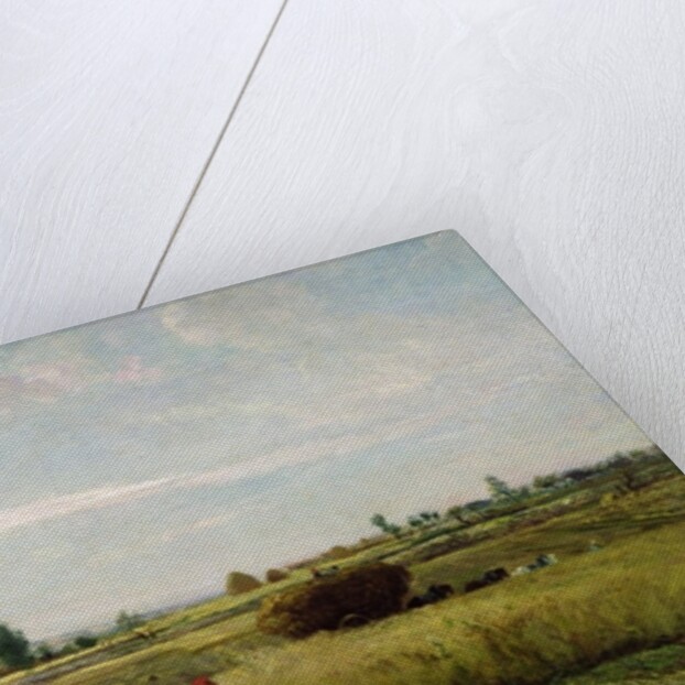 The Harvest, 1851 by Charles Francois Daubigny