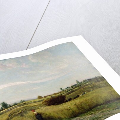 The Harvest, 1851 by Charles Francois Daubigny