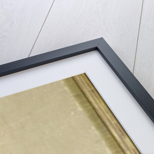 Portrait of a young courtesan by Japanese School