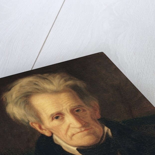 Portrait of Andrew Jackson by George Peter Alexander Healy