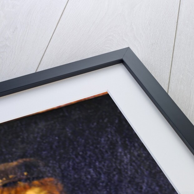 Titus, the Artist's son, c.1662 by Rembrandt Harmensz. van Rijn