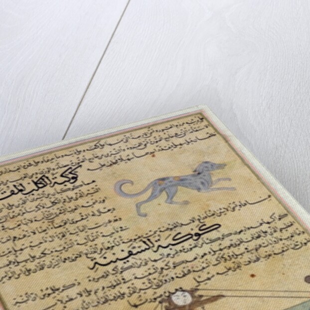 Ms E-7 fol.26b The Constellations of the Dog and the Keel by Islamic School