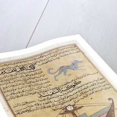Ms E-7 fol.26b The Constellations of the Dog and the Keel by Islamic School